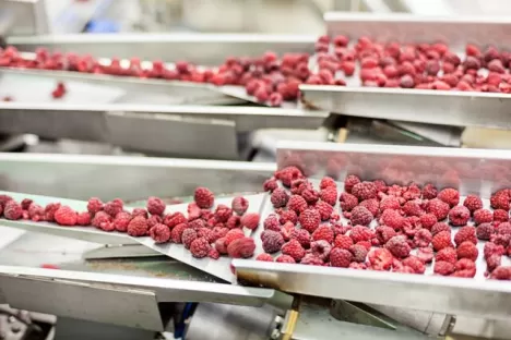 Cryogénie alimentaire: des avantages par rapport au froid mécanique