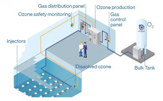 OZONE injection system
