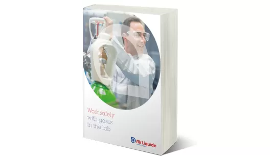 safety in labs ebook