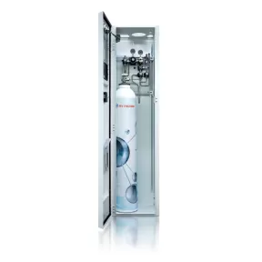 ALIM 2 gas cabinet