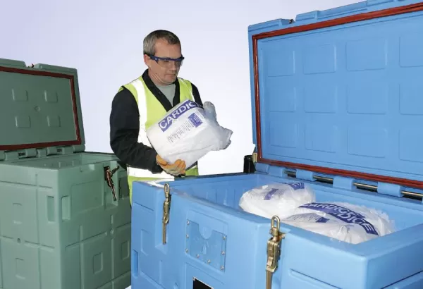 dry ice containers
